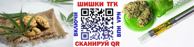 Купить закладки  Ковылкино  Cannafood марихуана 