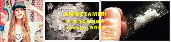 ПСИЛОЦИБИНОВЫЕ ГРИБЫ Слюдянка