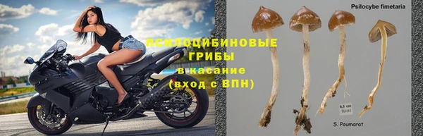 прущая мука Снежинск