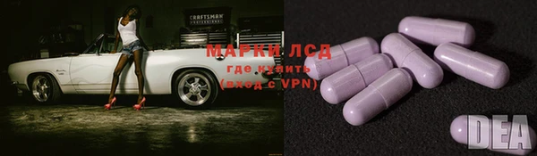 ПСИЛОЦИБИНОВЫЕ ГРИБЫ Слюдянка