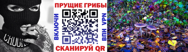 Купить где  Ковылкино  Псилоцибиновые грибы MAGIC MUSHROOMS 