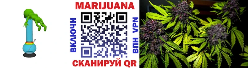 Купить  Ковылкино  Бошки Шишки ГИДРОПОН 